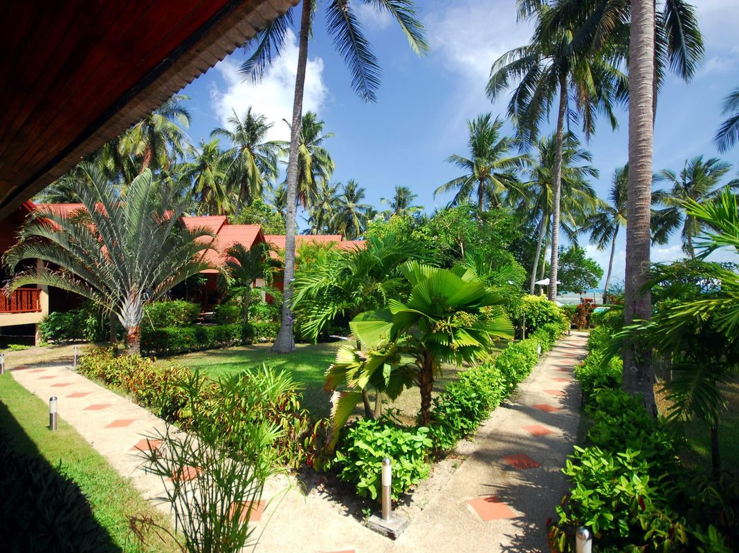 Morning Star Resort фото 11