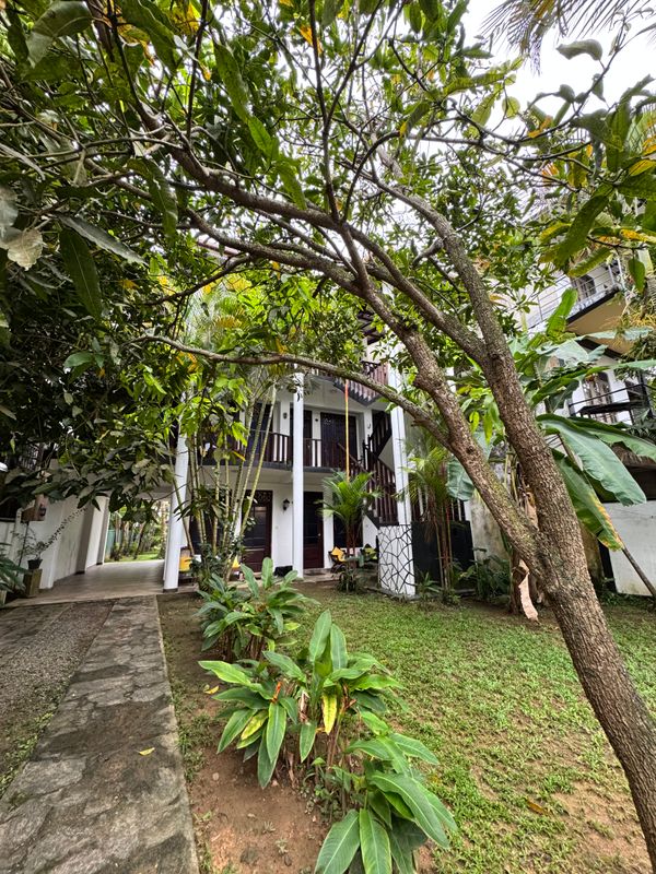 Guest House ««Tropicana» Guest House» фото 19