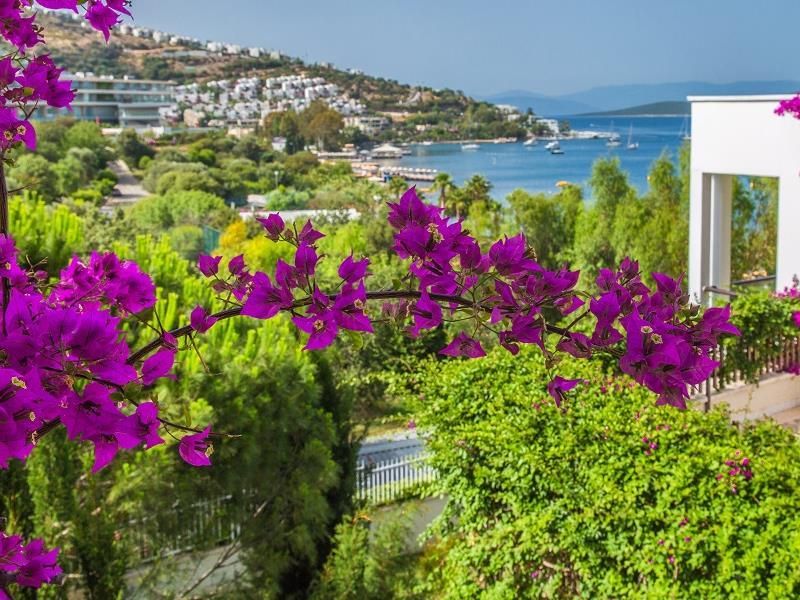 Baia Bodrum Hotel фото 52