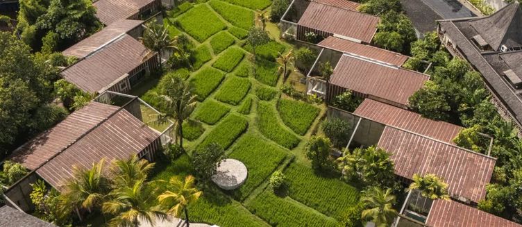 Фото отеля Shore Amora Canggu