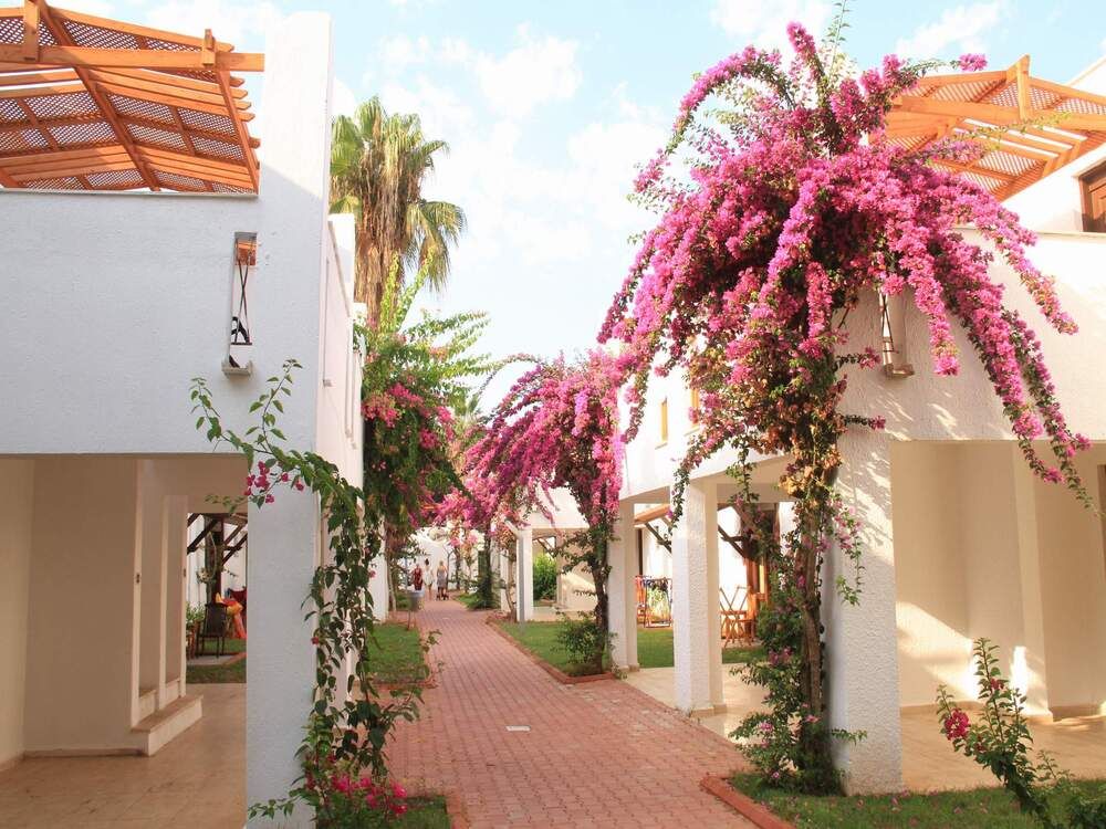 Club Kastalia Holiday Village фото 69