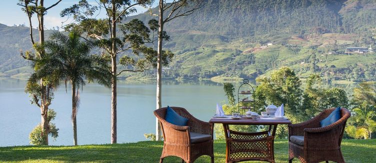 Фото отеля Ceylon Tea Trails