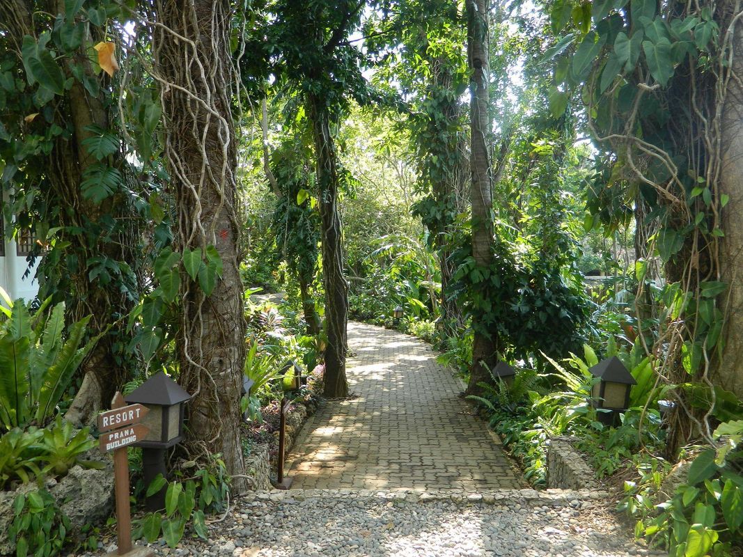 Mandala Spa & Villas фото 17