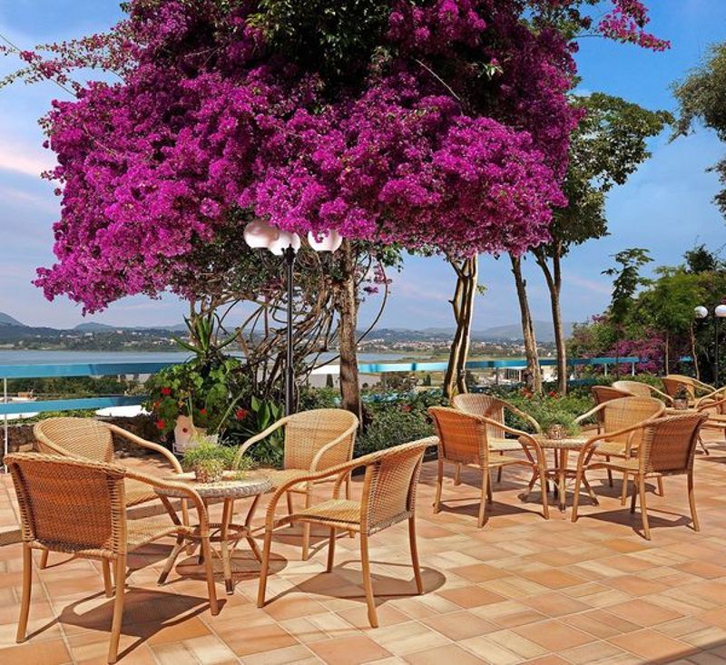 Divani Corfu Palace фото 5