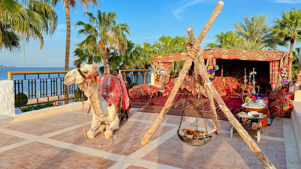 Sharm Club Beach Resort фото 279