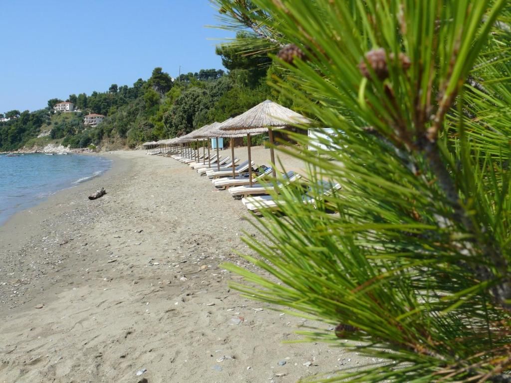 Golden King Villas фото 16