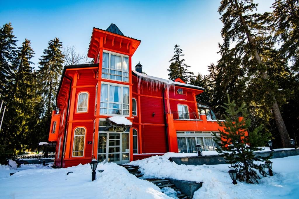 Hotel Sokol - Half Board фото 39