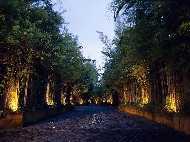 The Ahimsa фото 8