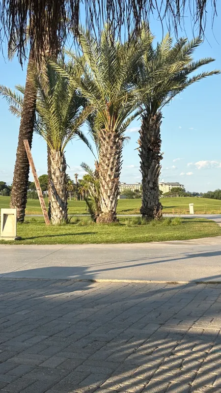 Titanic Deluxe Golf Belek фото 142