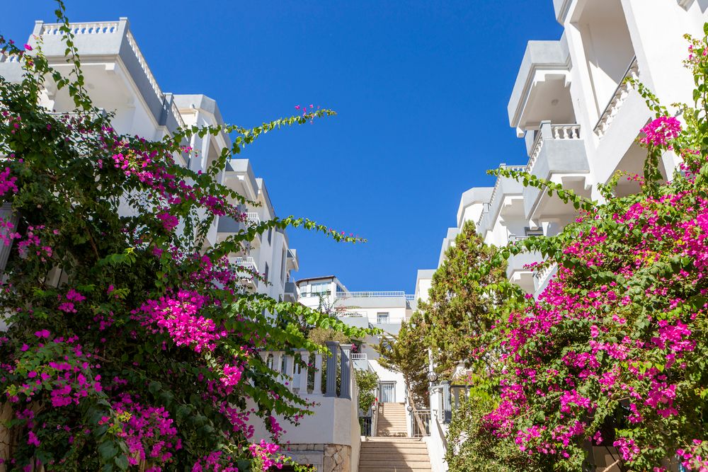 Smart Holiday Hotel Bodrum фото 56