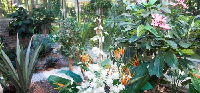 Фото отеля Royal Falke Resort & Spa