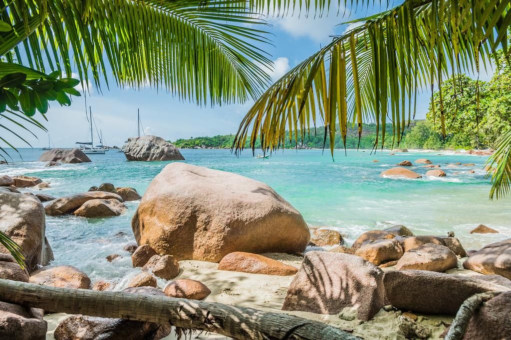 Tropical Hideaway фото 10