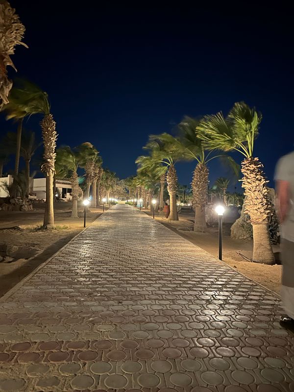 Coral Beach Hurghada фото 72
