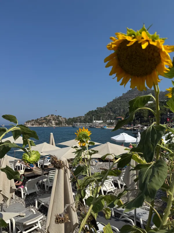 Ozcan Beach Hotel фото 37