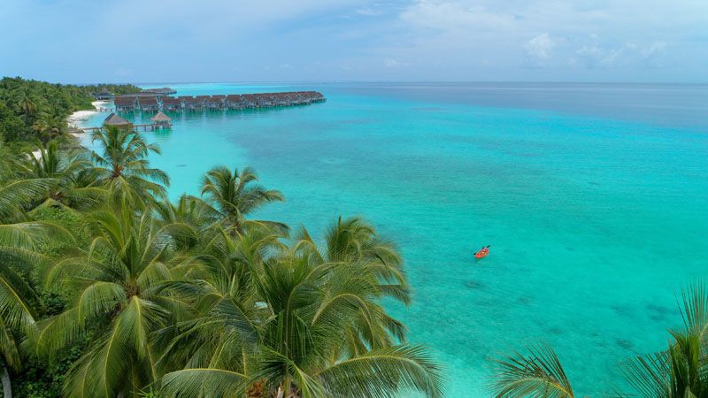 Niva Kuramathi Maldives фото 37