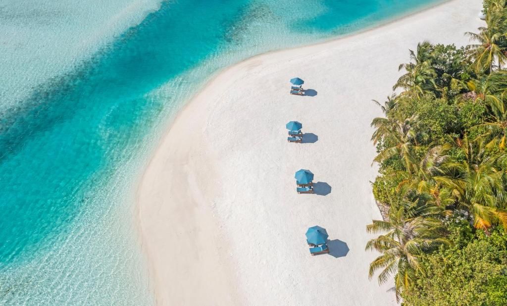 Naladhu Private Island Maldives фото 29