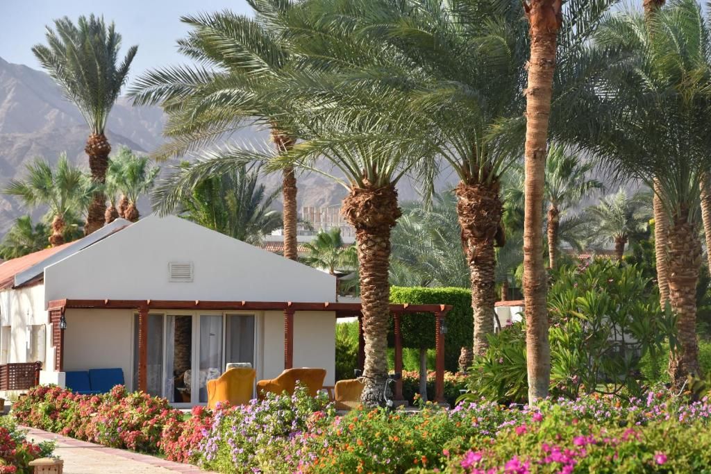 Nuweiba Club Resort фото 71