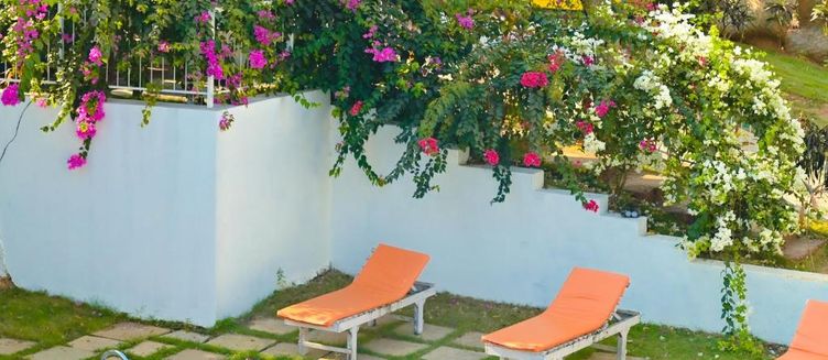 Фото отеля Treebo Skazka Resort Mandrem Beach with Pool