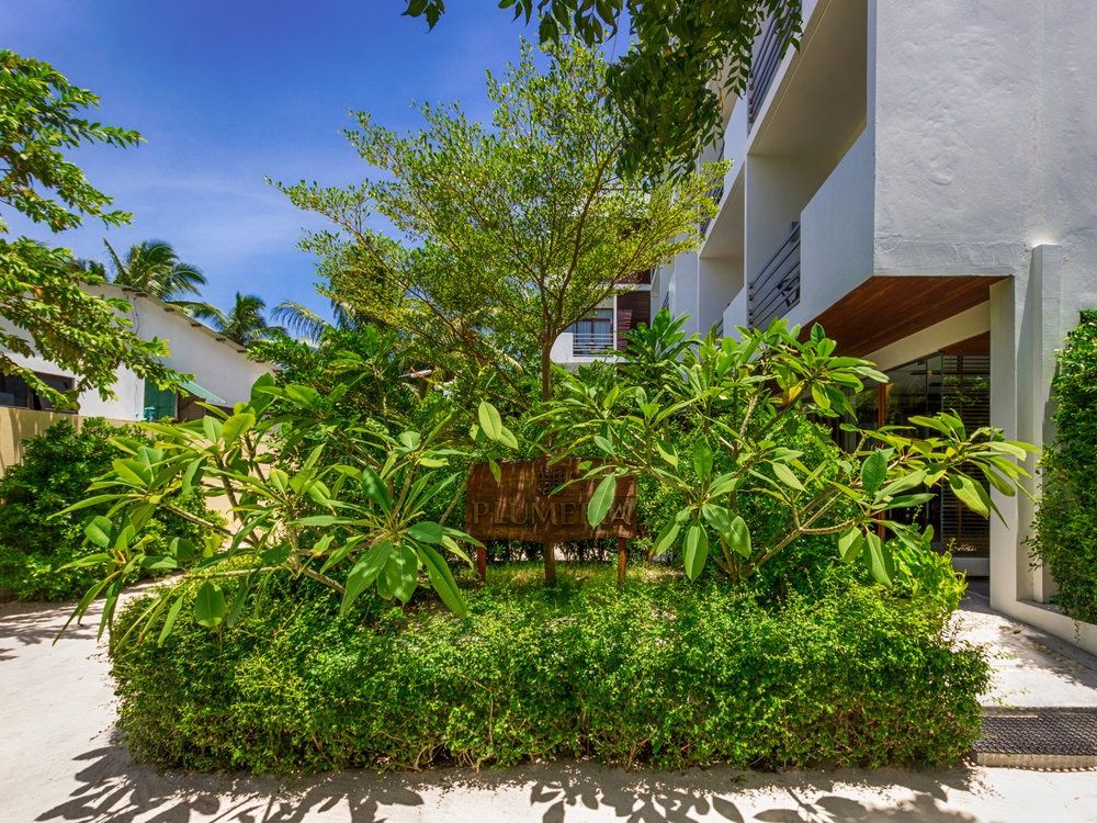 Guest House ««Plumeria Maldives» Guest House» фото 61