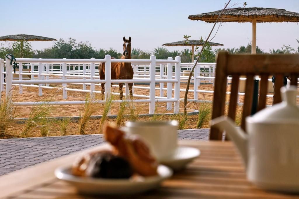 Anantara Sir Bani Yas Island Al Sahel Villa Resort фото 67