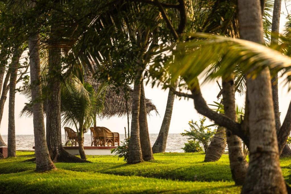 Coconut Lagoon - CGH Earth фото 65