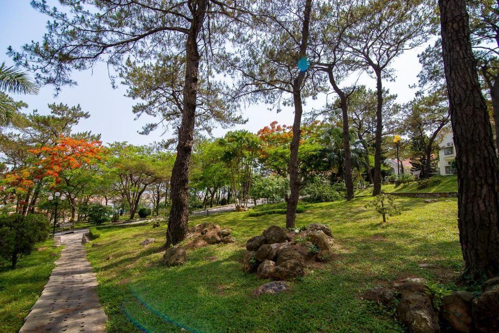 Saigon Halong Hotel фото 37