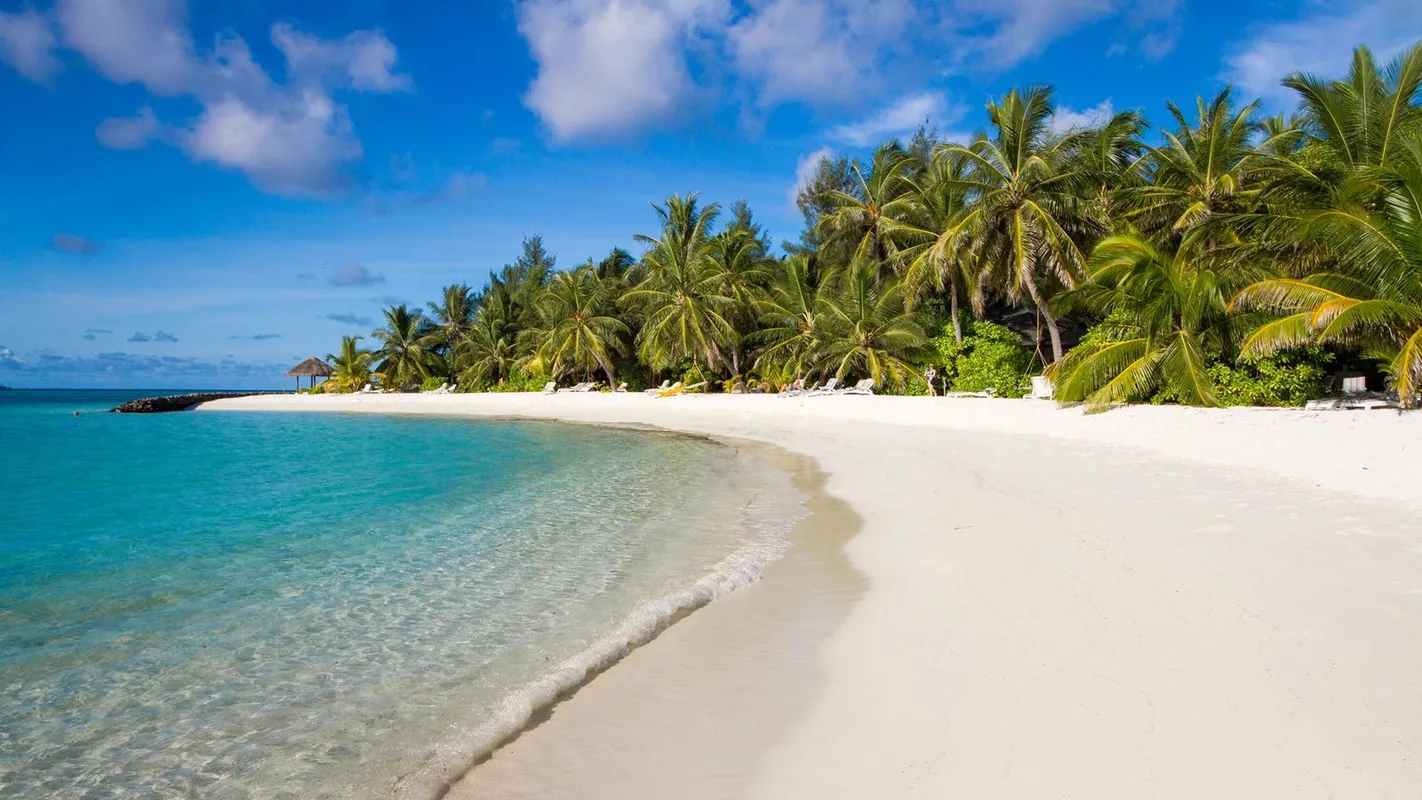 Summer Island Maldives фото 6