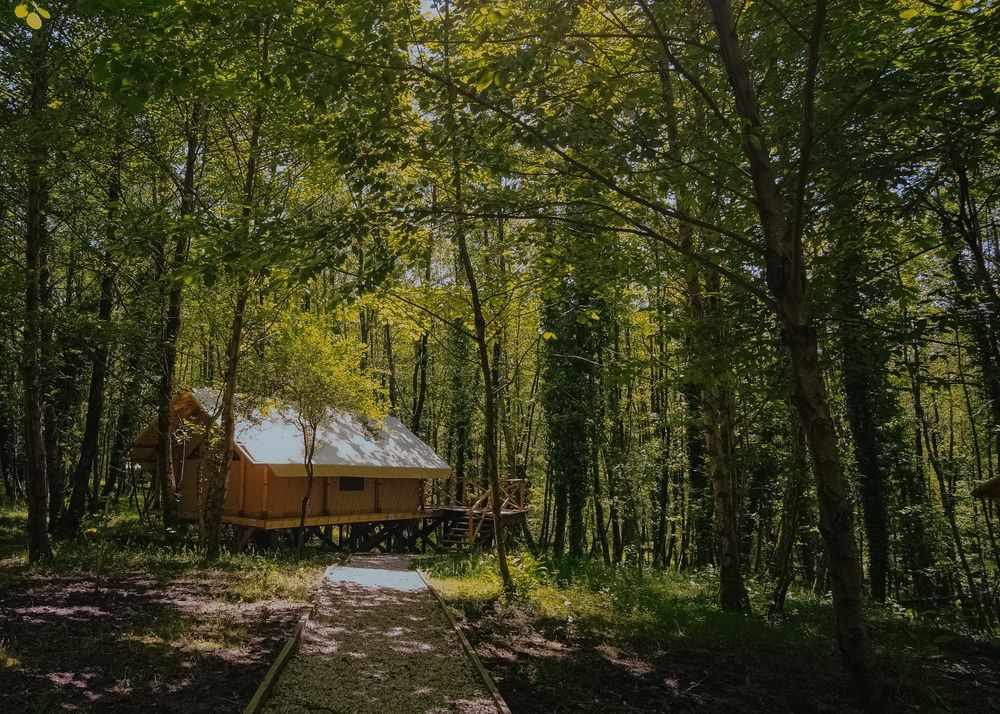 Garuda Glamping Abkhazia фото 46