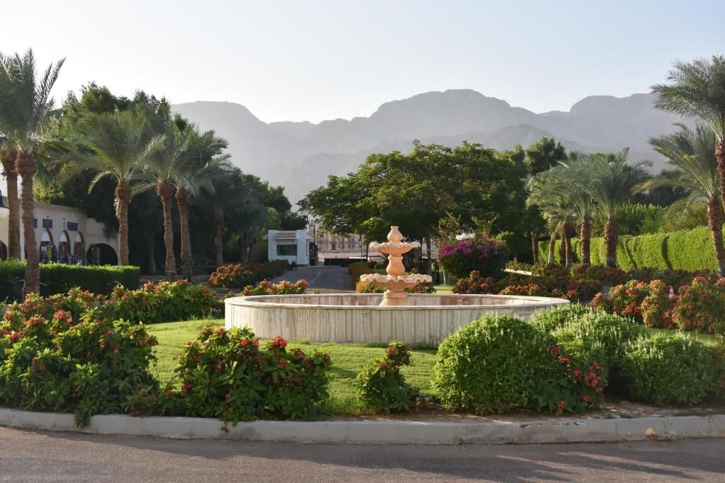 Nuweiba Club Resort фото 75