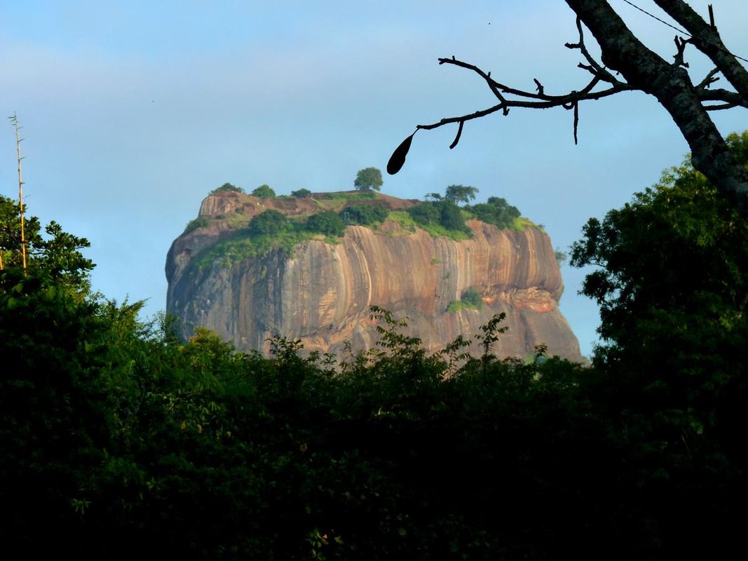 Sigiriya Village фото 9