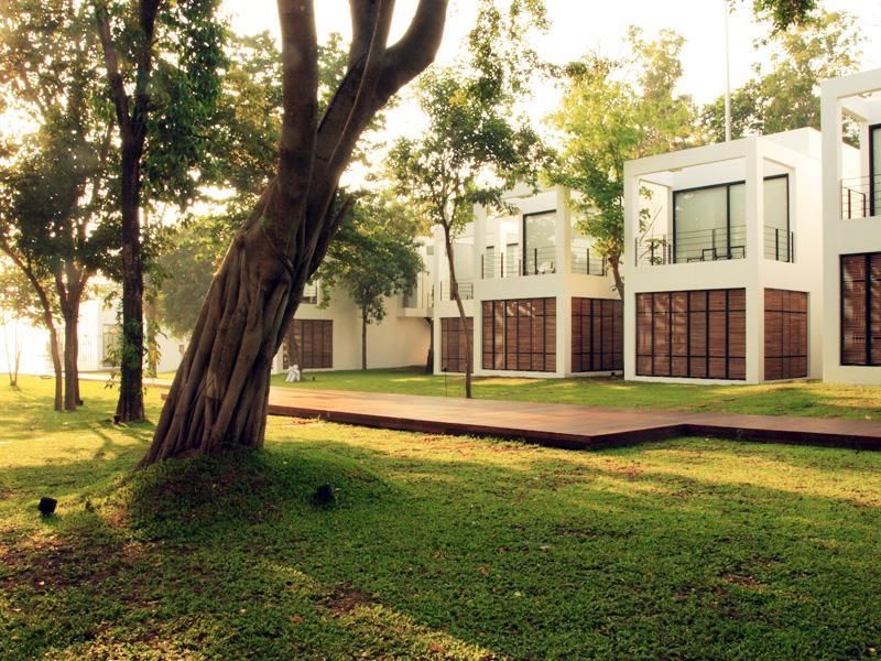 The Library фото 2