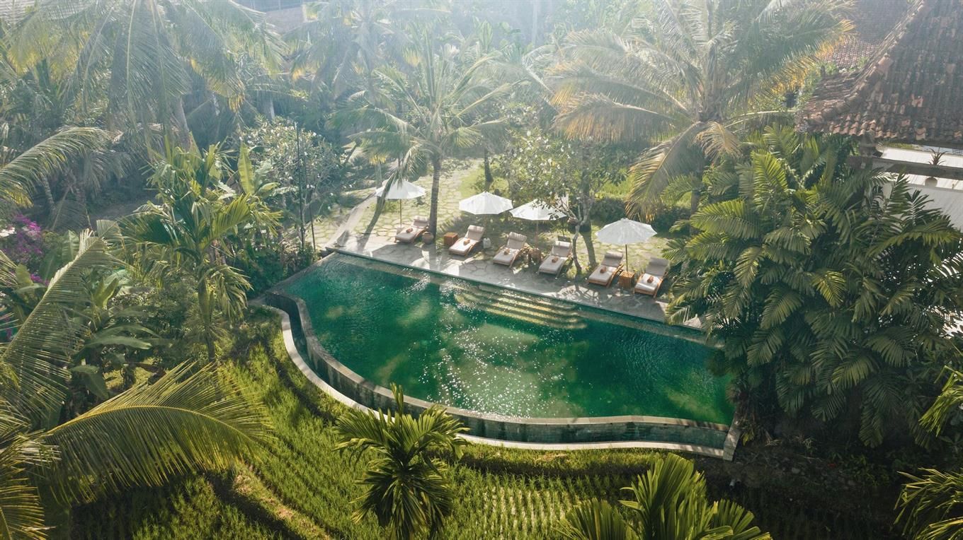 Alaya Resort Ubud фото 5