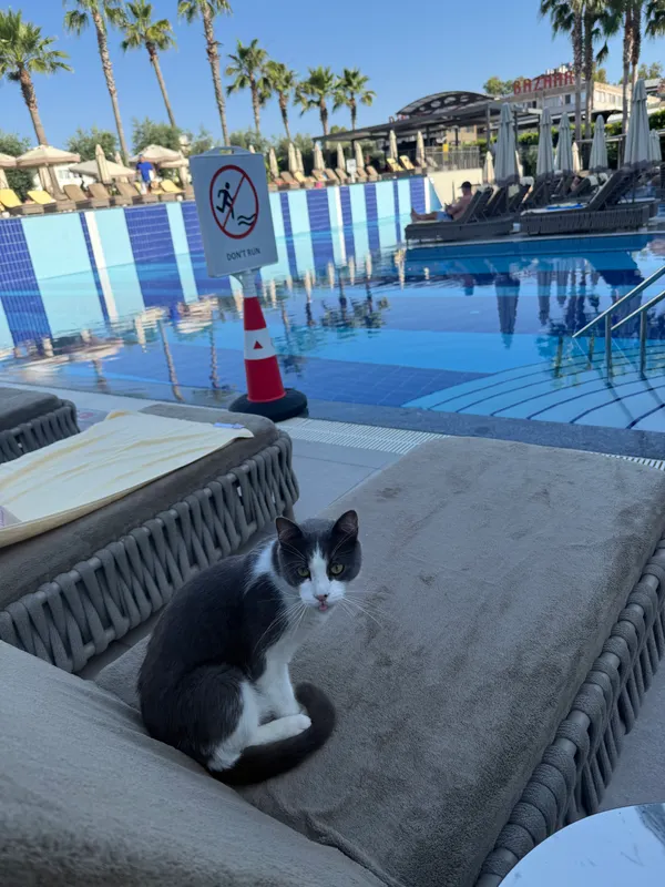 Belek Beach Resort Hotel фото 148