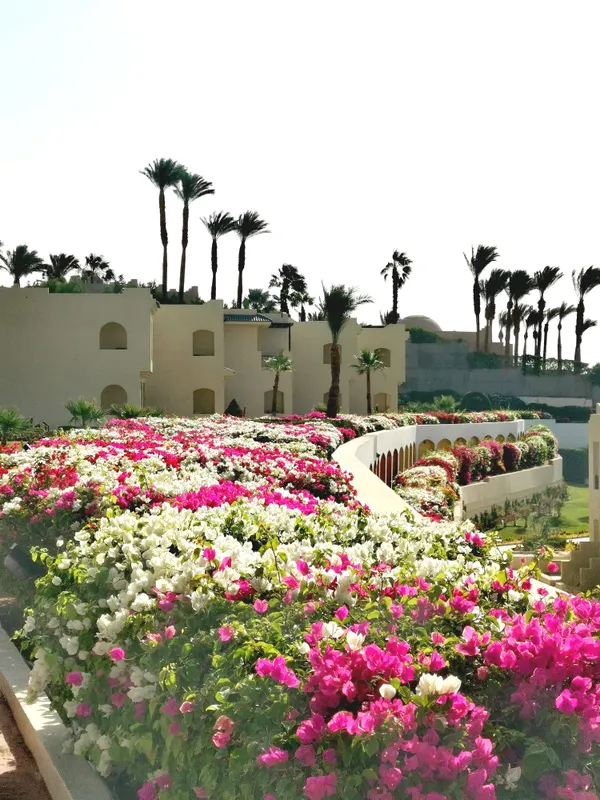 Grand Oasis Resort фото 50