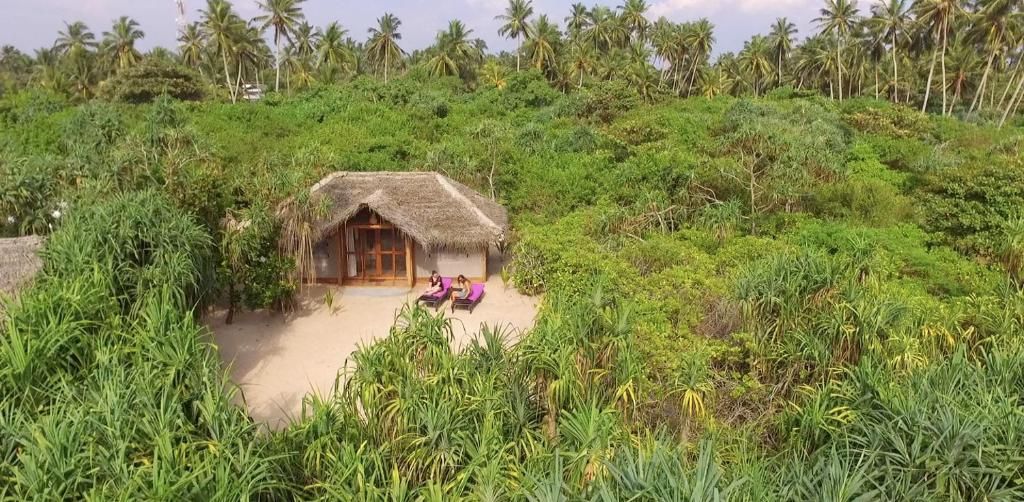 Jungle Beach Camp фото 18