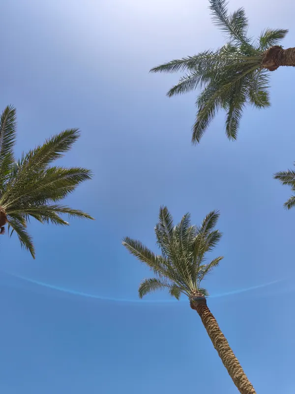 Rixos Sharm El Sheikh (Adults Only) фото 72