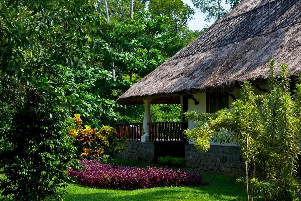 Carnoustie Ayurveda & Wellness Resort фото 68