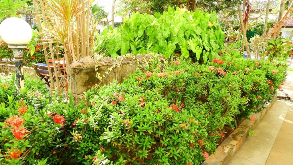 Romeo Palace Hotel фото 43