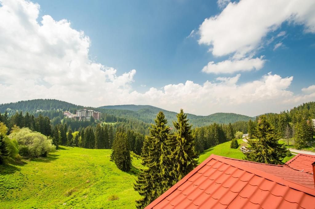 Snezhanka Hotel - Half Board фото 6