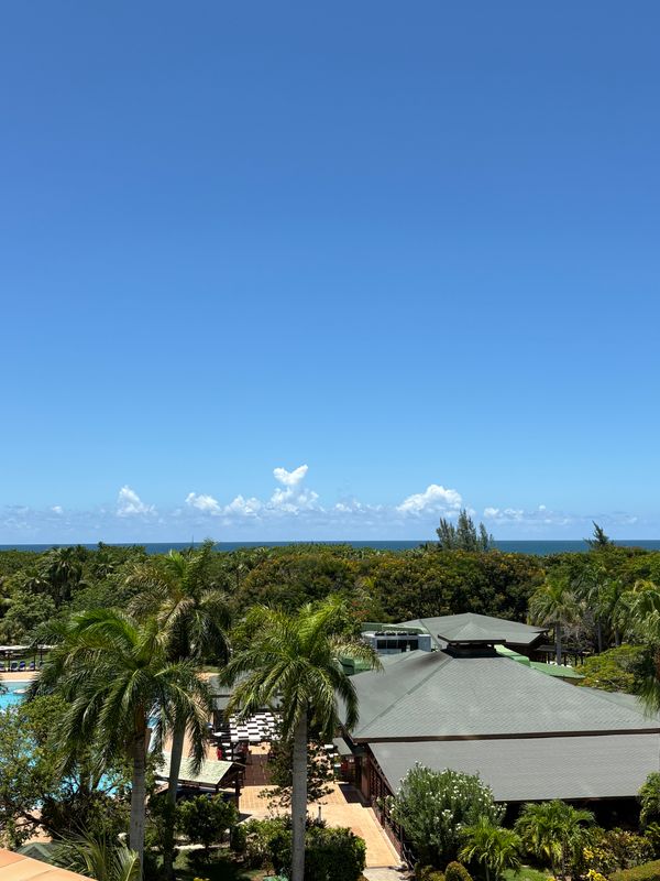 Blau Varadero (Adults Only) фото 43