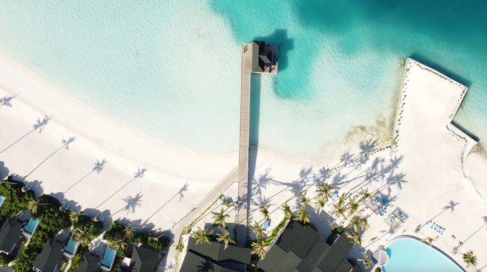 Joy Island фото 34