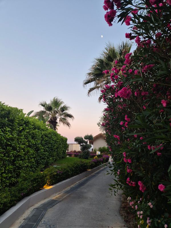Sirene Belek Hotel фото 66