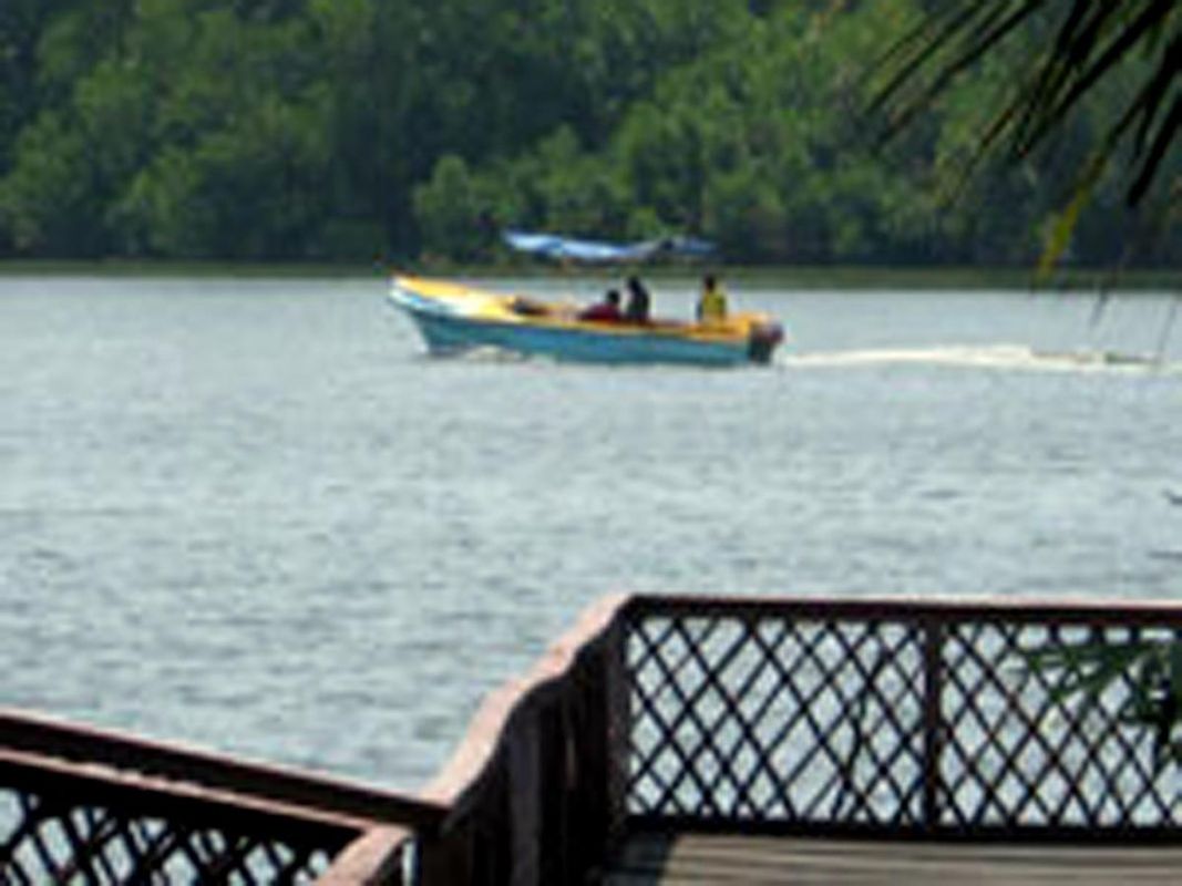 Mangrove Villa - Bentota River фото 14