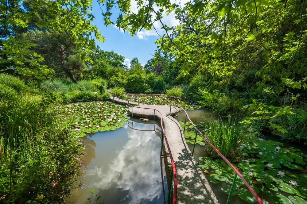 Санаторий «Foros Wellness & Park» фото 119