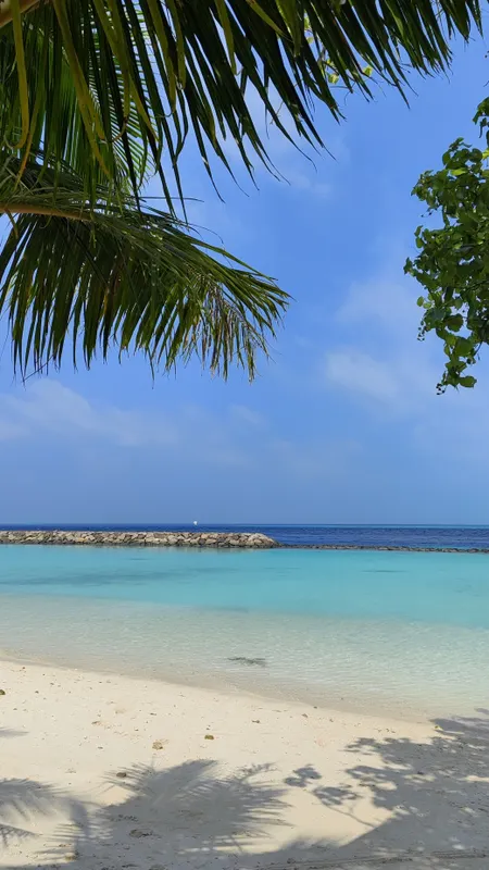 IHaven Thulusdhoo фото 12