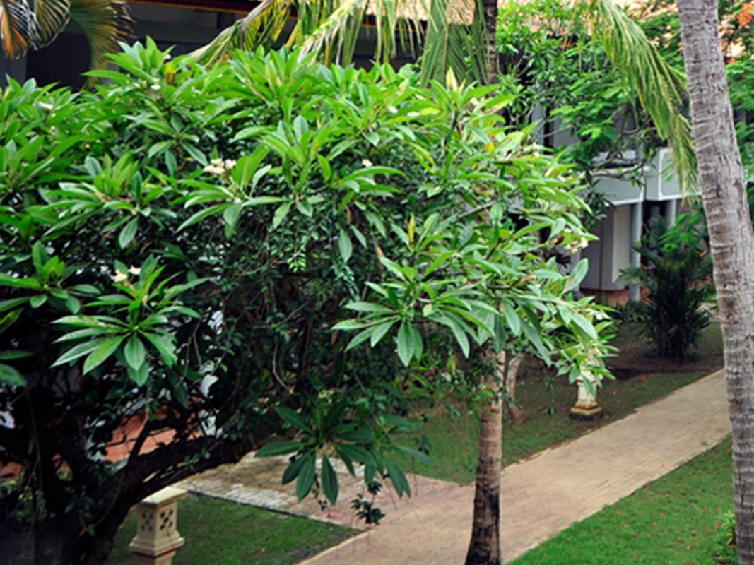 Puri Saron Hotel Seminyak фото 25