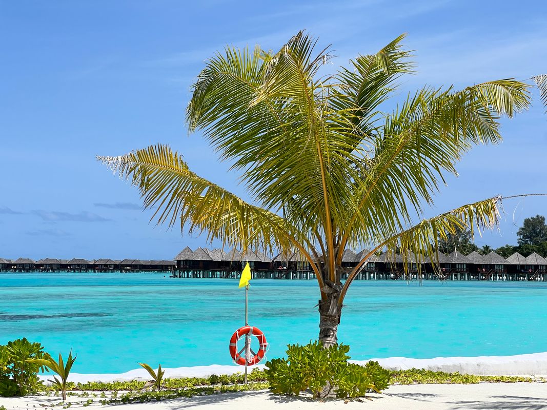 Sun Siyam Olhuveli фото 102