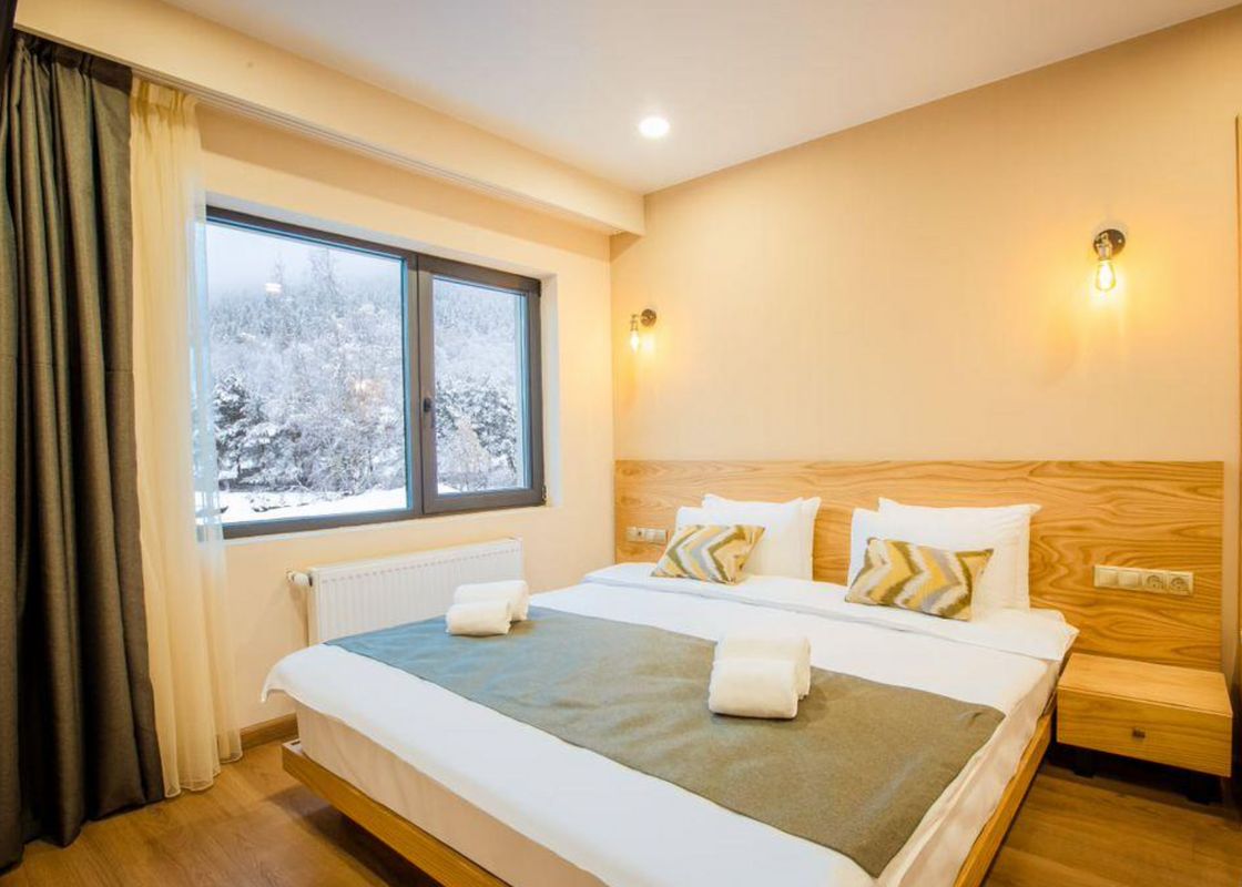 Bakuriani Inn фото 2