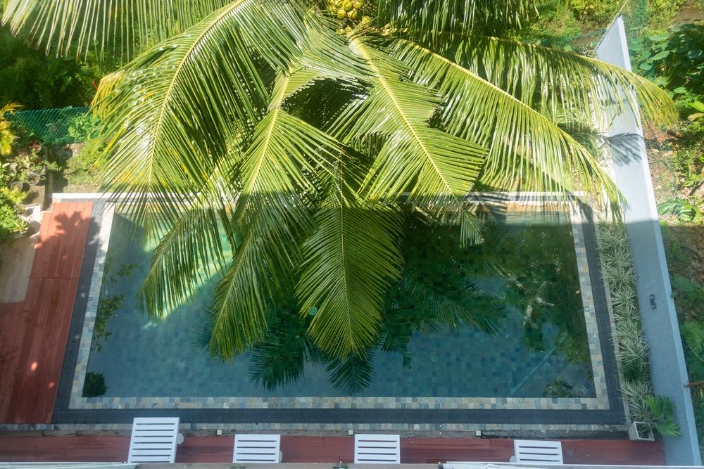 Green Edge Villa фото 15