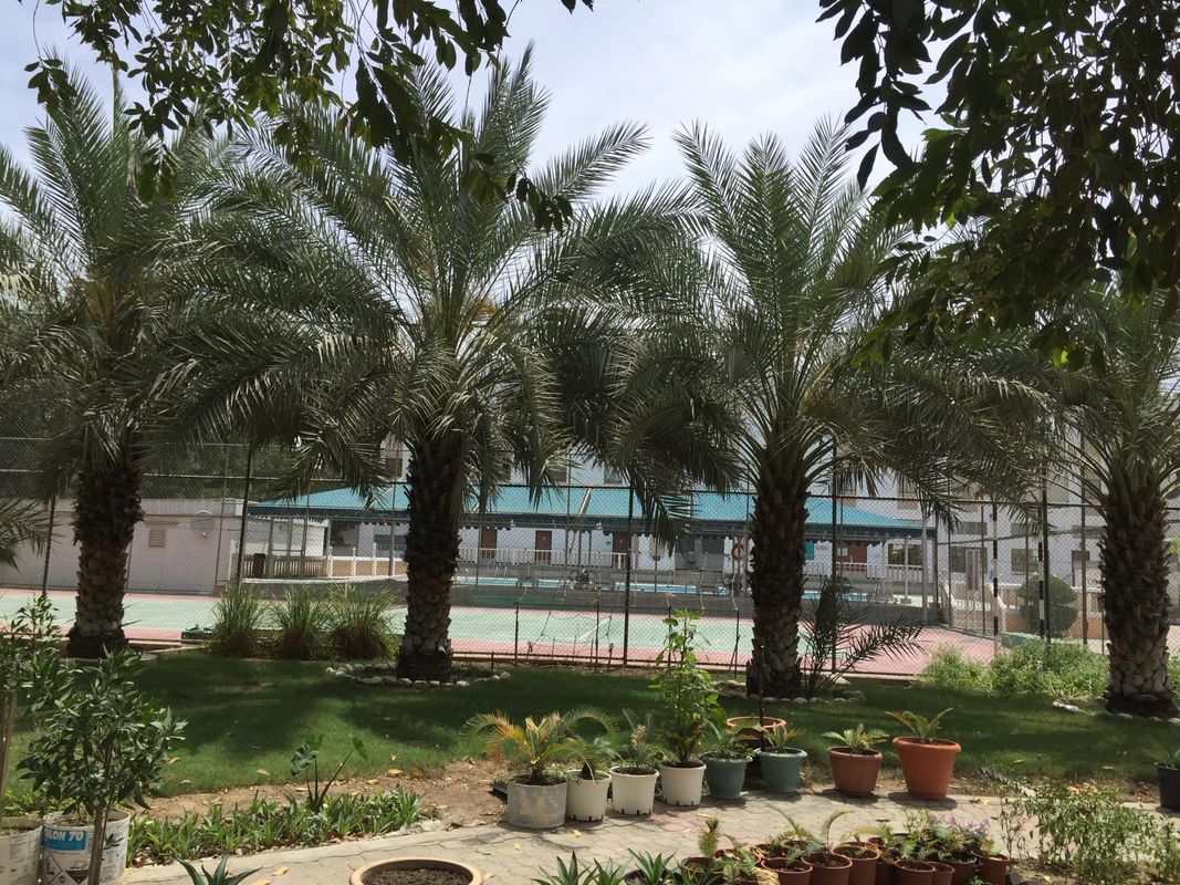 Hotel Al Madinah Holiday фото 12